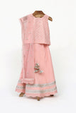 Crushed Cotton Embroidered Blouse And Lehenga With Net Dupatta