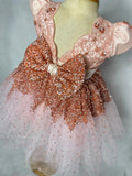 Rose Sparkles Dress