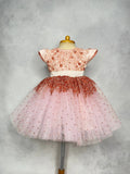 Rose Sparkles Dress