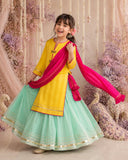 Yellow Dragonfly Lehenga Set