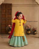 Yellow Dragonfly Lehenga Set