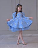 Powder Blue Embroidered Full Peplum Dress