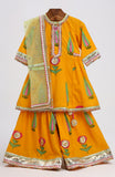 Cotton block printed kurta and sharara with matching soft net dupatta