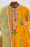 Cotton block printed kurta and sharara with matching soft net dupatta