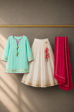 Mint Bird Lehenga Set