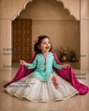 Mint Bird Lehenga Set