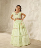 Green Faux Mukaish work Top & Skirt