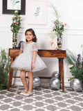 Phillipa White Organza Dress With Hand Embroidery of Flower and Butterflies Datailing