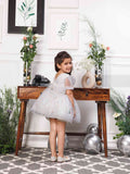 Phillipa White Organza Dress With Hand Embroidery of Flower and Butterflies Datailing