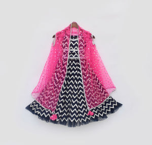 Hot Pink Cape With Dark Blue Lehenga Choli