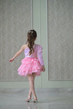 Lotus Pink Sequence Top With Organza Skirt