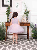 Stephanie Pink Sequin Bodice With Fluffy Skirt
