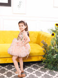 Monica 2.0 Ruffled fluffy Peach Dress