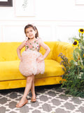 Monica 2.0 Ruffled fluffy Peach Dress