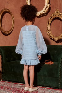 Noemi - A Line Textured Dress With Organza Sleeves