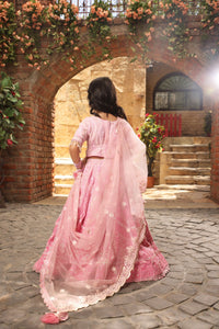 Pink Sequence Embroidery Lehenga Choli