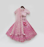 Pink Sequence Embroidery Lehenga Choli