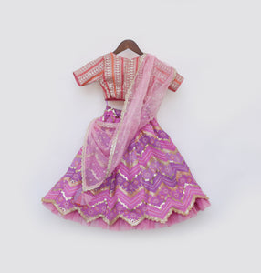 Pink Embroidred Choli With Purple Lehenga