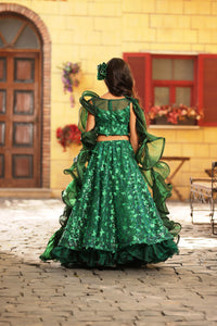 Green Butterfly Choli With Lehenga