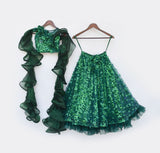 Green Butterfly Choli With Lehenga