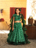 Green Butterfly Choli With Lehenga