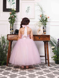 Pink Butterfly Embellished Party Gown