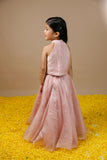 Hand Embroidered  Sequined Polkas Pastel Pink Silk Organza Lehenga And Crop Top Set