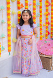 Sitaara Floral Lehenga Set