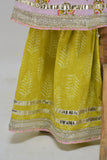 Block Printed Kurta and Sharara with Soft dupatta