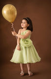 Tinker Bell Dress