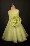 Tinker Bell Dress