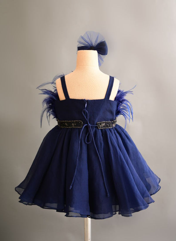 Blue Swan Dress