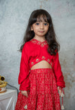 Ruby Stylish Crop Top With Tiered Lehenga For Girls