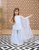 Sky Blue Embroidered Organza Kurti Sharara