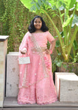 Pink Thread Lehenga Set