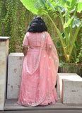 Pink Thread Lehenga Set