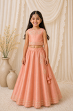 Floral Embroiderd Lehenga set
