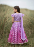Pink Ombre Embroidered Lehenga Choli Set