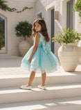 Blue Sequence Frock