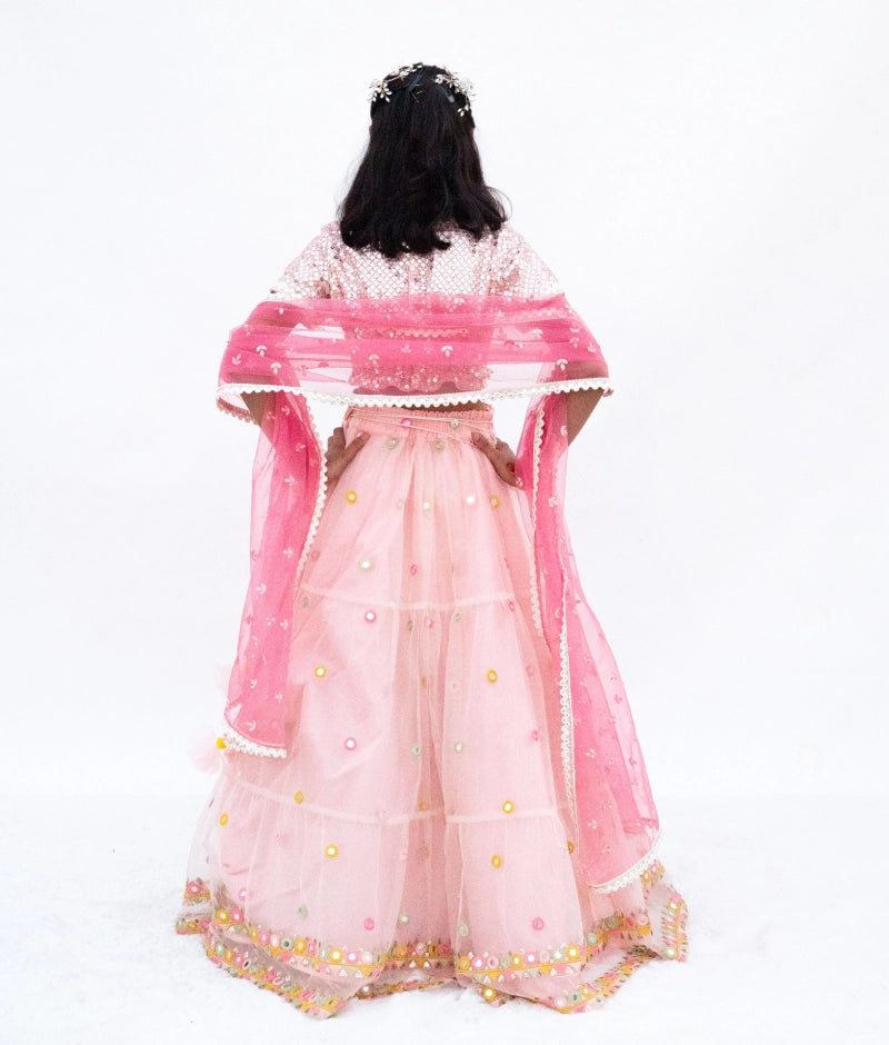 Pink Mirror Embroidered Choli with Lehenga