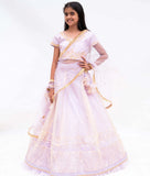 Lilac Gota Embroidery Lehenga with Choli & Boti Net Dupatta