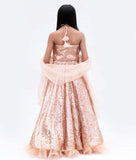 Maroon Sequence Boti Velvet Kurta with Salwar