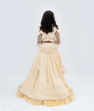 Beige Ombre Lehenga Choli Set