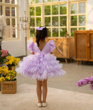 Lilac Star Net Layerd Frock