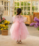 Pink Star Net Dress