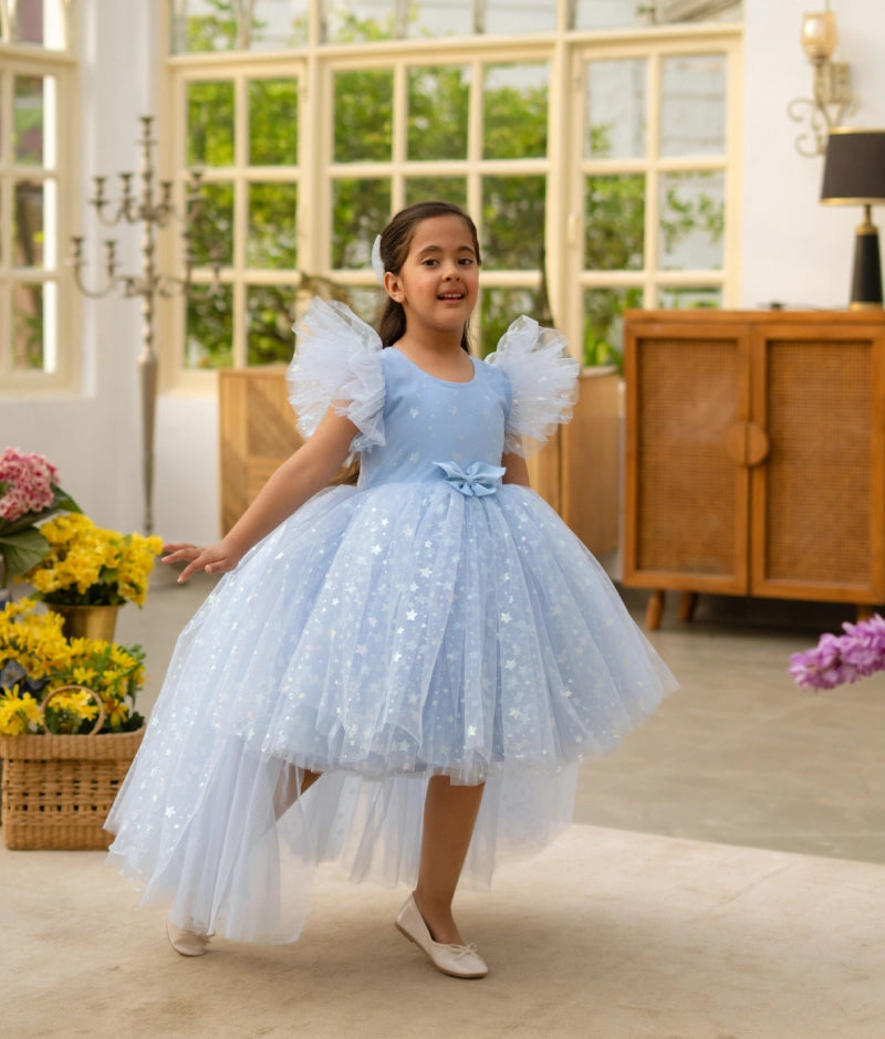 Blue Star Net Dress