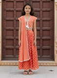 Orange Ombre Embroidered Lehenga Choli Set