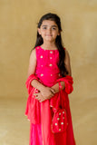 PINK CHAKRI LEHENGA SET