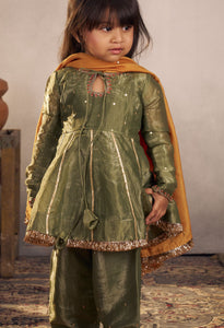 Olive Punjabi Set