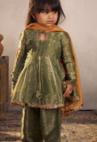 Olive Punjabi Set